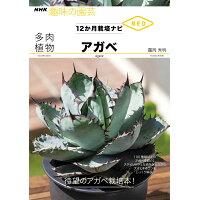 多肉植物アガベ １２か月栽培ナビＮＥＯ  /ＮＨＫ出版/□岡秀明